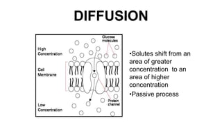 Fluids & electrolytes imbalances | PPTX