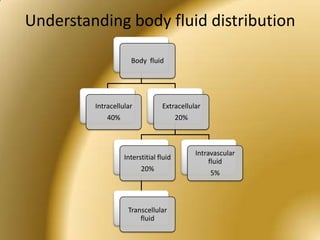 FLUID FUNCTIONS<br />