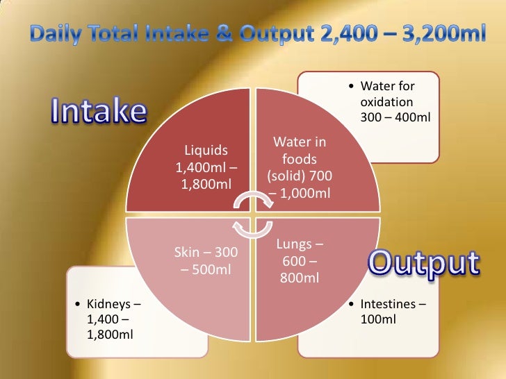 Fluids, Electrolytes & IV Therapy
