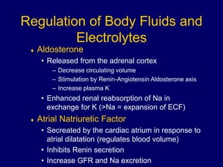 Regulation of Body Fluids and
Electrolytes
 Aldosterone
• Released from the adrenal cortex
– Decrease circulating volume
– Stimulation by Renin-Angiotensin Aldosterone axis
– Increase plasma K
• Enhanced renal reabsorption of Na in
exchange for K (>Na = expansion of ECF)
 Atrial Natriuretic Factor
• Secreated by the cardiac atrium in response to
atrial dilatation (regulates blood volume)
• Inhibits Renin secretion
• Increase GFR and Na excretion
 