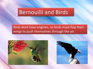 Bernouilli and Birds
Birds dont have engines, so birds must flap their
wings to push themselves through the air.

 