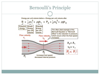 Bernoulli's Principle
 