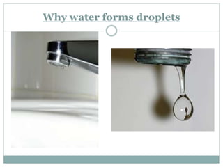 Why water forms droplets
 