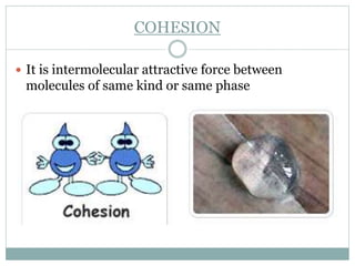 COHESION
 It is intermolecular attractive force between
molecules of same kind or same phase
 
