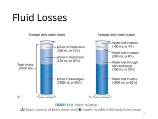 Intravenous Fluids PPT Crystalloids, Colloids, Balanced Crystalloids.pptx