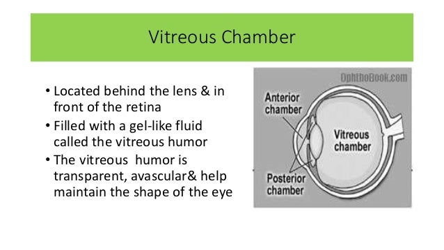 Scarica Gratis Images Fluid System Of The Eye Glaucoma le plus cool salutations