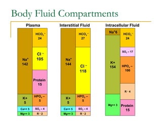 Body Fluid Compartments
Plasma Interstitial Fluid Intracellular Fluid
Na+
142
K+
5
Ca++ 5
Mg++ 3
HCO3
–
24
Cl –
105
Protein
15
SO4 – 4
R –
2
HPO4 –
5
Na+
144
K+
5
Ca++ 5
Mg++ 3
HCO3
–
27
Cl –
118
SO4 – 4
R –
2
HPO4 –
5
Na+
6
K+
154
Mg++ 3
HCO3
–
24
Protein
15
R –
4
HPO4 –
106
SO4 – 17
 
