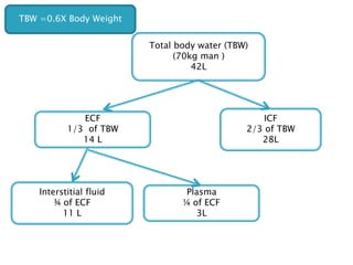 Total body water (TBW)
(70kg man )
42L
ECF
1/3 of TBW
14 L
ICF
2/3 of TBW
28L
Interstitial fluid
¾ of ECF
11 L
Plasma
¼ of ECF
3L
TBW =0.6X Body Weight
 