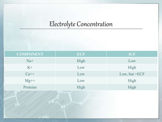Fluid therapy | PPTX