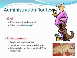 Administration Routes
Oral
 If the stomach works, use it!
 Safest route if tolerated
Subcutaneous
 Works well in most animal
 Sometimes need to use multiple sites
 Can’t add glucose, large quantity KCl, or
some drugs
 