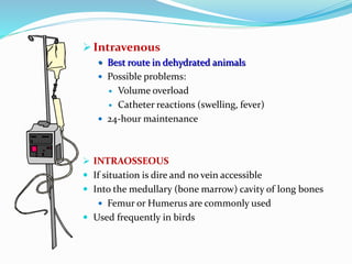  Intravenous
 Best route in dehydrated animals
 Possible problems:
 Volume overload
 Catheter reactions (swelling, fever)
 24-hour maintenance
 INTRAOSSEOUS
 If situation is dire and no vein accessible
 Into the medullary (bone marrow) cavity of long bones
 Femur or Humerus are commonly used
 Used frequently in birds
 
