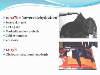 10-12% = “severe dehydration”
Severe skin tent
CRT >3 sec
Markedly sunken eyeballs
Cold extremities
+/- shock
12-15%
Obvious shock, imminent death
 