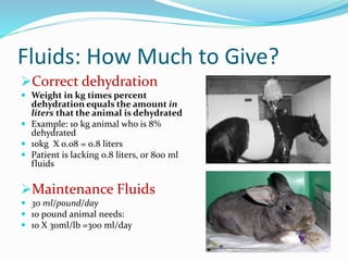 Fluids: How Much to Give?
Correct dehydration
 Weight in kg times percent
dehydration equals the amount in
liters that the animal is dehydrated
 Example: 10 kg animal who is 8%
dehydrated
 10kg X 0.08 = 0.8 liters
 Patient is lacking 0.8 liters, or 800 ml
fluids
Maintenance Fluids
 30 ml/pound/day
 10 pound animal needs:
 10 X 30ml/lb =300 ml/day
 
