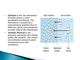 • Osmosis is the net movement
of water across a semi
permeable membrane. The
movement is caused by a
concentration gradient due to
different solute concentrations
on each side of the membrane.
• Osmotic Pressure is the
pressure caused by the solutes
within the solution. The solute
concentration prevents water
movement across the
membrane.
 