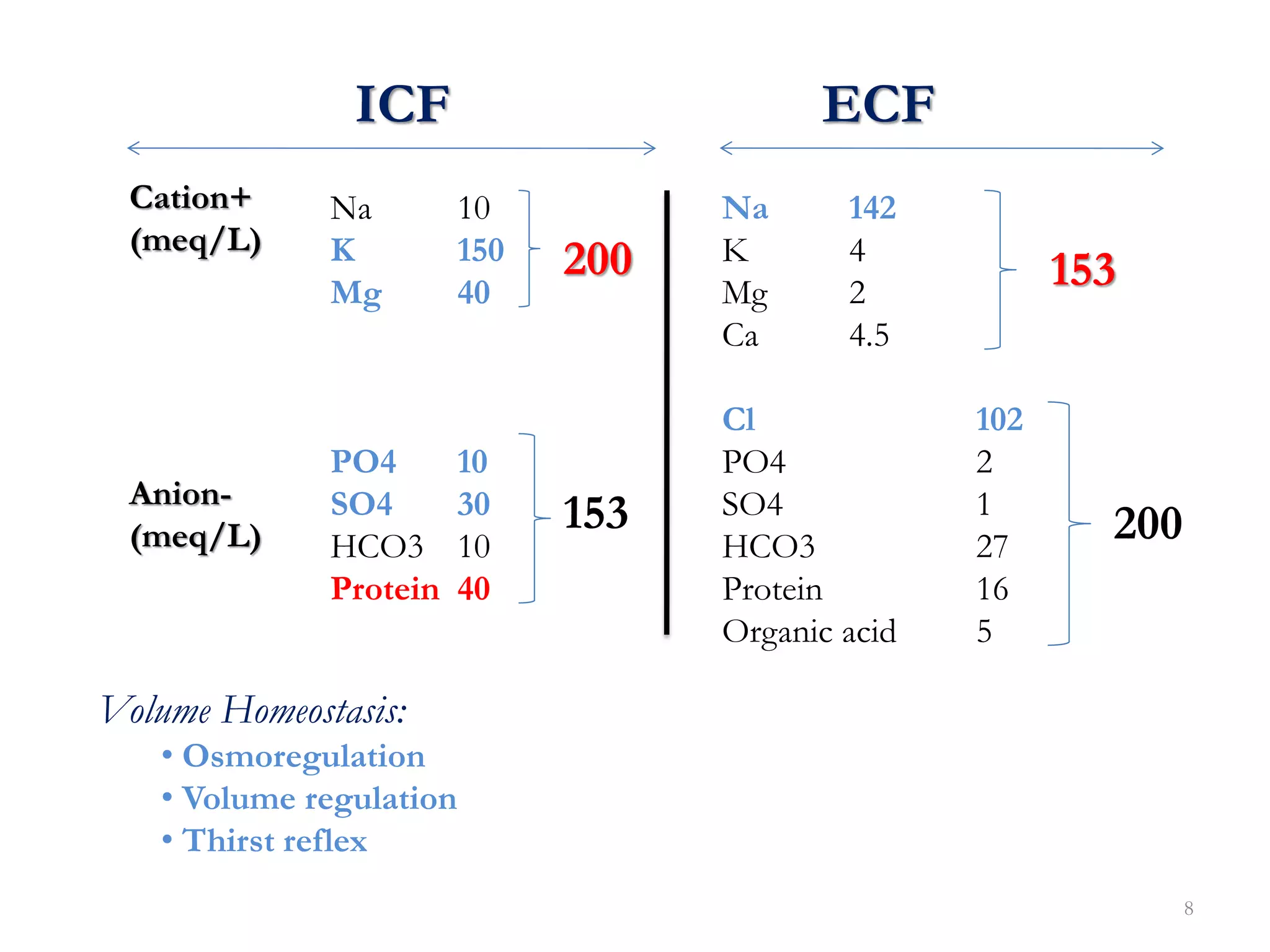 8
Volume Homeostasis:
• Osmoregulation
• Volume regulation
• Thirst reflex
Cation+
(meq/L)
Anion-
(meq/L)
Na 10
K 150
Mg 40
PO4 10
SO4 30
HCO3 10
Protein 40
Na 142
K 4
Mg 2
Ca 4.5
Cl 102
PO4 2
SO4 1
HCO3 27
Protein 16
Organic acid 5
ICF ECF
200
153
153
200
 