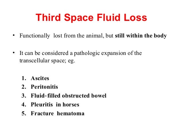 Fluid Therapy Animals fluid-therapy-animals