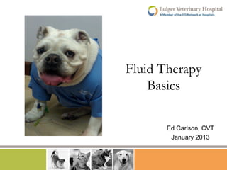 Fluid Therapy
    Basics

       Ed Carlson, CVT
        January 2013
 