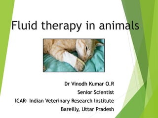 Fluid therapy in animals
Dr Vinodh Kumar O.R
Senior Scientist
ICAR- Indian Veterinary Research Institute
Bareilly, Uttar Pradesh
 