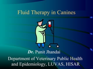 Fluid Therapy in Canines
Dr. Punit Jhandai
Department of Veterinary Public Health
and Epidemiology, LUVAS, HISAR
 