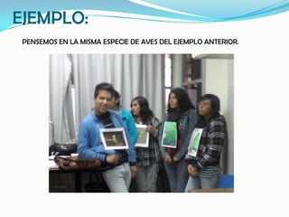 EJEMPLO:
 PENSEMOS EN LA MISMA ESPECIE DE AVES DEL EJEMPLO ANTERIOR.
 