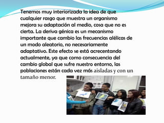 Tenemos muy interiorizada la idea de que
cualquier rasgo que muestra un organismo
mejora su adaptación al medio, cosa que no es
cierta. La deriva génica es un mecanismo
importante que cambio las frecuencias alélicas de
un modo aleatorio, no necesariamente
adaptativo. Este efecto se está acrecentando
actualmente, ya que como consecuencia del
cambio global que sufre nuestro entorno, las
poblaciones están cada vez más aisladas y con un
tamaño menor.
 