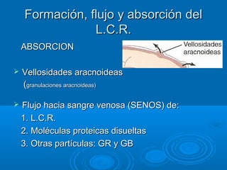 Circulación cerebral LCR | PPT