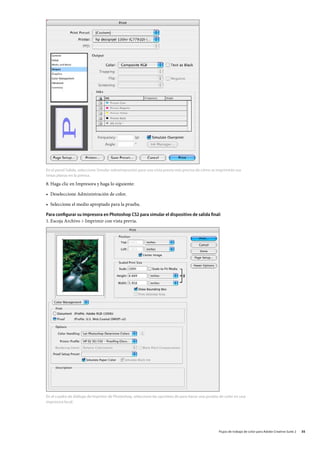 En el panel Salida, seleccione Simular sobreimpresión para una vista previa más precisa de cómo se imprimirán sus
tintas planas en la prensa.

8.	Haga clic en Impresora y haga lo siguiente:

•	 Deseleccione Administración de color.

•	 Seleccione el medio apropiado para la prueba.

Para configurar su impresora en Photoshop CS2 para simular el dispositivo de salida final:
1.	Escoja Archivo  Imprimir con vista previa.




En el cuadro de diálogo de Imprimir de Photoshop, seleccione las opciónes de para hacer una prueba de color en una
impresora local.




                                                                                                    Flujos de trabajo de color para Adobe Creative Suite 2   35
 