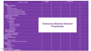Carlos Mario Morales C © 2019
Conceptos / Cuentas
Inversión Operacional
0 1 2 … n
Activos
Activos Corrientes
Efectivo
Cuentas por cobrar
Inventario de materias primas
Inventario de productos en proceso
Inventario de productos terminados
Inventario de repuestos y suministros
Total Activos Corrientes
Activos Fijos
No depreciables
Terrenos
Depreciables
Edificios
Maquinaria y equipos
Muebles y enseres
Vehículos
Herramientas
Total Activos Fijos
Activos Diferidos
Gastos Pre-operativos
Total Activos Diferidos
Total Activos
Pasivos y Patrimonio
Pasivo
Pasivo corriente
Prestamos a corto, mediano y largo plazo.
Total Pasivo
Patrimonio
Capital Social
Reservas
Total Patrimonio
TOTAL PASIVO Y PATRIMONIO
Estructura Balance General
Proyectado
 