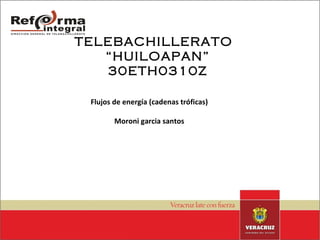 TELEBACHILLERATO  “HUILOAPAN” 30ETH0310Z Flujos de energía (cadenas tróficas) Moroni garcia santos 