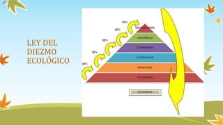LEY DEL
DIEZMO
ECOLÓGICO
 
