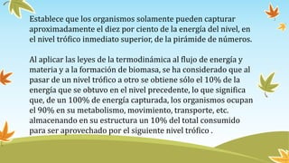 Establece que los organismos solamente pueden capturar
aproximadamente el diez por ciento de la energía del nivel, en
el nivel trófico inmediato superior, de la pirámide de números.
Al aplicar las leyes de la termodinámica al flujo de energía y
materia y a la formación de biomasa, se ha considerado que al
pasar de un nivel trófico a otro se obtiene sólo el 10% de la
energía que se obtuvo en el nivel precedente, lo que significa
que, de un 100% de energía capturada, los organismos ocupan
el 90% en su metabolismo, movimiento, transporte, etc.
almacenando en su estructura un 10% del total consumido
para ser aprovechado por el siguiente nivel trófico .
 
