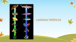 CADENAS TRÓFICAS
 