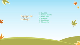 Equipo de
trabajo
 Bacab Ek
 Cervera Alamilla
 Farfán Parra
 May Ucán
 Pool Blanco
 Vázquez May
 