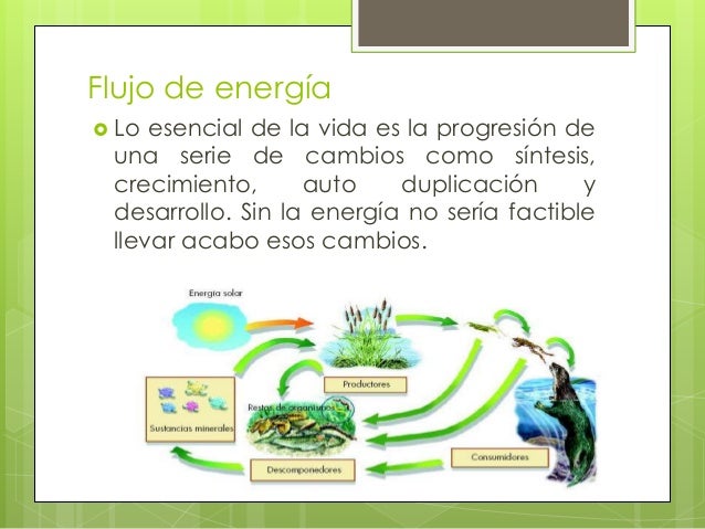 Ciencias Naturales Quinto