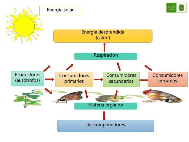 Resultado de imagen para flujo de energia