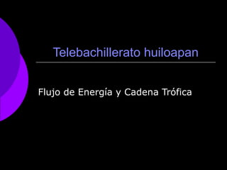 Telebachillerato huiloapan Flujo de Energía y Cadena Trófica 