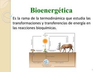 Bioenergética
Es la rama de la termodinámica que estudia las
transformaciones y transferencias de energía en
las reacciones bioquímicas.
1
 