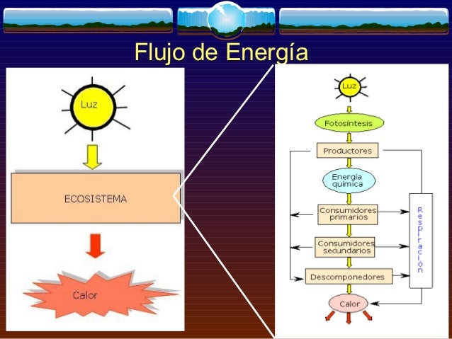 Resultado de imagen para flujo de energia