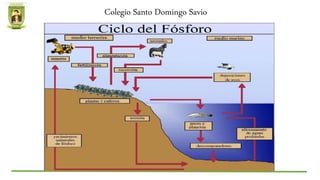 Colegio Santo Domingo Savio
 