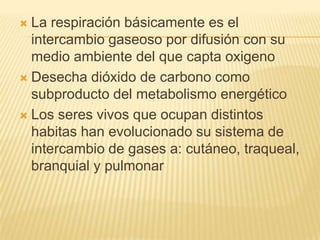 La respiración básicamente es el
intercambio gaseoso por difusión con su
medio ambiente del que capta oxigeno
 Desecha dióxido de carbono como
subproducto del metabolismo energético
 Los seres vivos que ocupan distintos
habitas han evolucionado su sistema de
intercambio de gases a: cutáneo, traqueal,
branquial y pulmonar


 