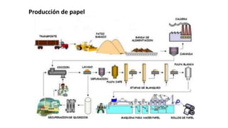 Producción de papel
 