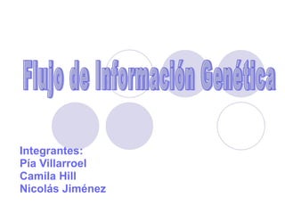 Integrantes:  Pía Villarroel Camila Hill  Nicolás Jiménez Flujo de Información Genética 