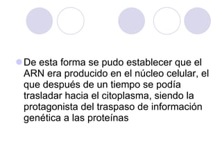 De esta forma se pudo establecer que el ARN era producido en el núcleo celular, el que después de un tiempo se podía trasladar hacia el citoplasma, siendo la protagonista del traspaso de información genética a las proteínas 