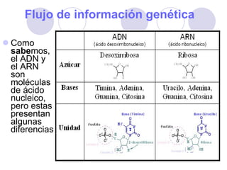 Flujo de información genética Como  sabe mos, el ADN y el ARN son moléculas de ácido nucleico, pero estas presentan algunas diferencias 