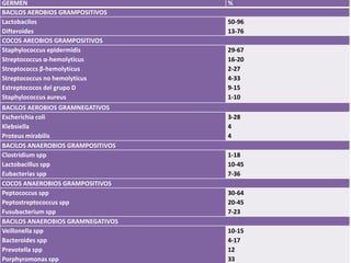 GERMEN %
BACILOS AEROBIOS GRAMPOSITIVOS
Lactobacilos
Difteroides
50-96
13-76
COCOS AREOBIOS GRAMPOSITIVOS
Staphylococcus epidermidis
Streptococcus α-hemolyticus
Streptococcs β-hemolyticus
Streptococcus no hemolyticus
Estreptococos del grupo D
Staphylococcus aureus
29-67
16-20
2-27
4-33
9-15
1-10
BACILOS AEROBIOS GRAMNEGATIVOS
Escherichia coli
Klebsiella
Proteus mirabilis
3-28
4
4
BACILOS ANAEROBIOS GRAMPOSITIVOS
Clostridium spp
Lactobacillus spp
Eubacterias spp
1-18
10-45
7-36
COCOS ANAEROBIOS GRAMPOSITIVOS
Peptococcus spp
Peptostreptococcus spp
Fusubacterium spp
30-64
20-45
7-23
BACILOS ANAEROBIOS GRAMNEGATIVOS
Veillonella spp
Bacteroides spp
Prevotella spp
Porphyromonas spp
10-15
4-17
12
33
 