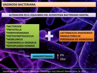 VAGINOSIS BACTERIANA
ALTERACION EN EL EQUILIBRIO DEL ECOSISTEMA BACTERIANO GENITAL
*BACTEROIDE
*PREVOTELLA
*PORPHYROMONAS
*PEPTOSTREPTOCOCCUS
*MOBILUNEUS
*GARDNERELLA VAGINALIS
*MYCOPLASMA HOMINIS
LACTOBACILOS ANAEROBIOS
PRODUCTORES DE
PEROXIDASA DE HIDROGENO
AMINOPEPTIDASAS PH
Olor
Usandizaga J. y De La Fuente P. Obstetricia-Ginecologia. 4 ed. Editorial: Marban Libros, SL. 2011
 