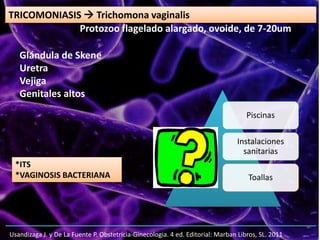 Usandizaga J. y De La Fuente P. Obstetricia-Ginecologia. 4 ed. Editorial: Marban Libros, SL. 2011
TRICOMONIASIS  Trichomona vaginalis
Glándula de Skene
Uretra
Vejiga
Genitales altos
Piscinas
Instalaciones
sanitarias
Toallas
*ITS
*VAGINOSIS BACTERIANA
Protozoo flagelado alargado, ovoide, de 7-20um
 