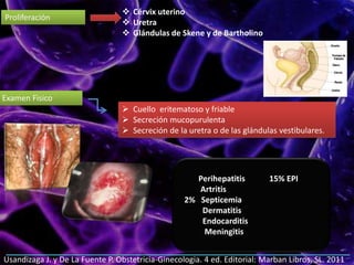 Proliferación
 Cérvix uterino
 Uretra
 Glándulas de Skene y de Bartholino
Examen Fìsico
 Cuello eritematoso y friable
 Secreción mucopurulenta
 Secreción de la uretra o de las glándulas vestibulares.
Perihepatitis 15% EPI
Artritis
2% Septicemia
Dermatitis
Endocarditis
Meningitis
Usandizaga J. y De La Fuente P. Obstetricia-Ginecologia. 4 ed. Editorial: Marban Libros, SL. 2011
 