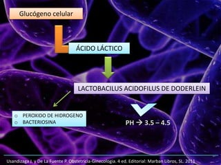 Usandizaga J. y De La Fuente P. Obstetricia-Ginecologia. 4 ed. Editorial: Marban Libros, SL. 2011
Glucógeno celular
ÁCIDO LÁCTICO
LACTOBACILUS ACIDOFILUS DE DODERLEIN
PH  3.5 – 4.5
o PEROXIDO DE HIDROGENO
o BACTERIOSINA
 