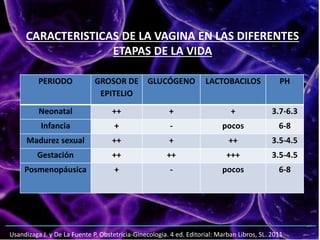 PERIODO GROSOR DE
EPITELIO
GLUCÓGENO LACTOBACILOS PH
Neonatal ++ + + 3.7-6.3
Infancia + - pocos 6-8
Madurez sexual ++ + ++ 3.5-4.5
Gestación ++ ++ +++ 3.5-4.5
Posmenopáusica + - pocos 6-8
CARACTERISTICAS DE LA VAGINA EN LAS DIFERENTES
ETAPAS DE LA VIDA
Usandizaga J. y De La Fuente P. Obstetricia-Ginecologia. 4 ed. Editorial: Marban Libros, SL. 2011
 